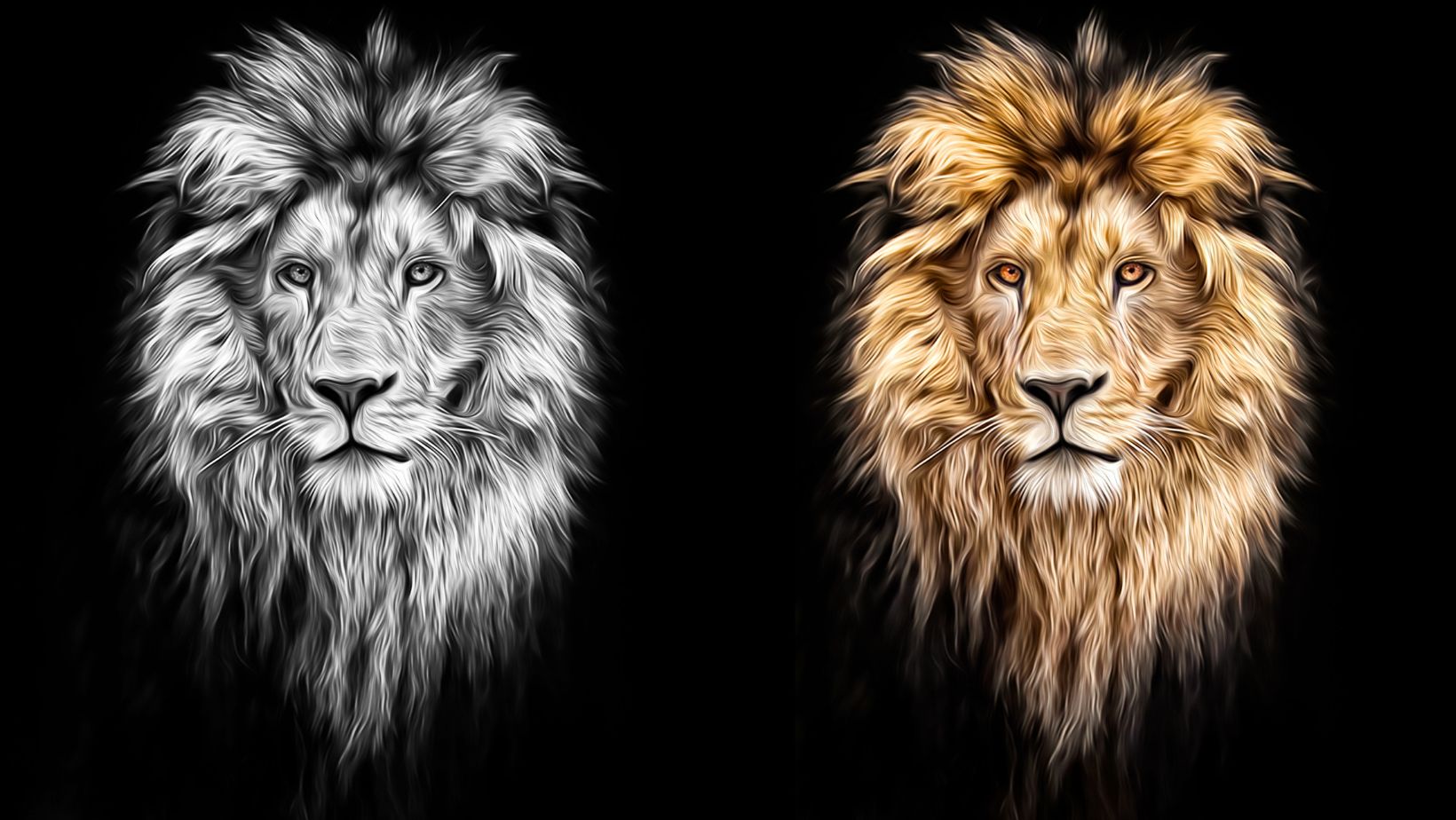 drawing:aahhn84abxq= lion